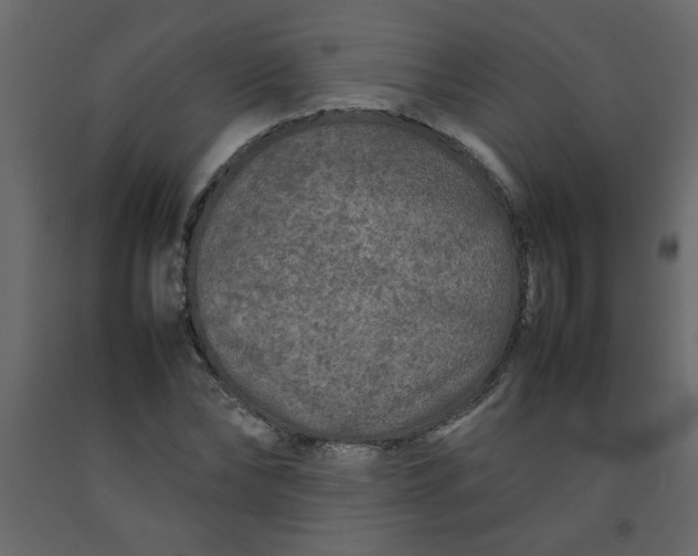 X0000092210878200710051135