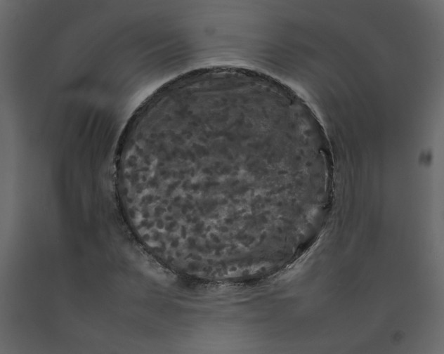 X0000092210879200710051135