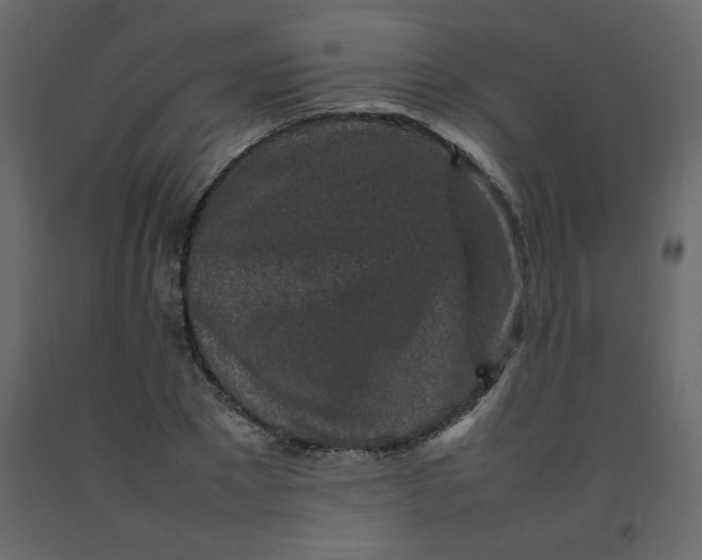 X0000092210881200710051135