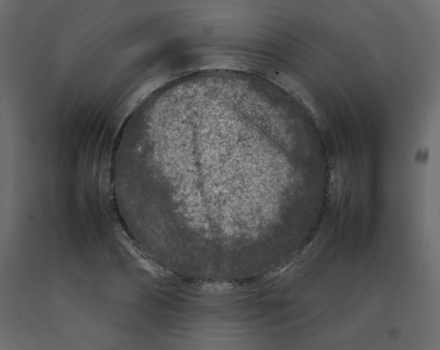 X0000092210882200710051135