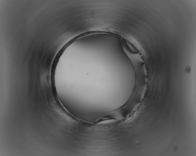 X0000092210884200710051134