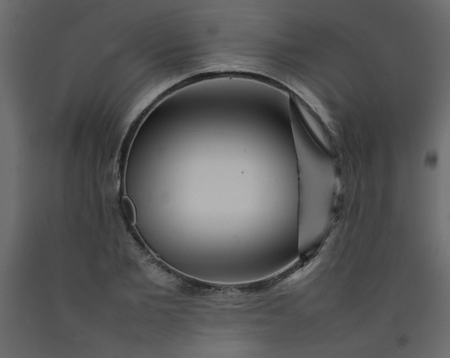 X0000092210885200710051134