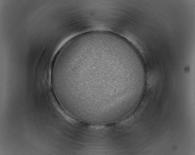 X0000092210886200710051134