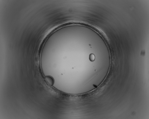 X0000092210887200710051134