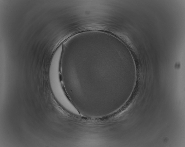 X0000092210889200710051134