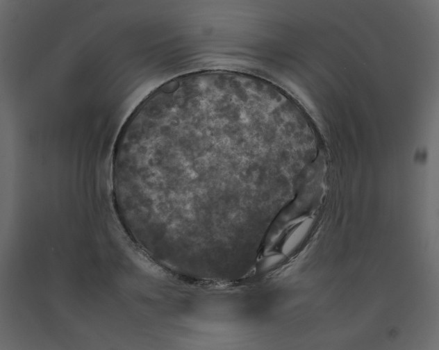 X0000092210891200710051134