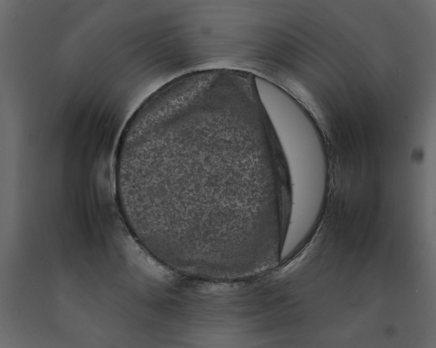 X0000092210892200710051134