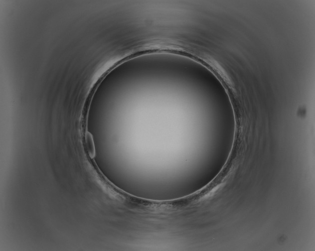 X0000092210893200710051134