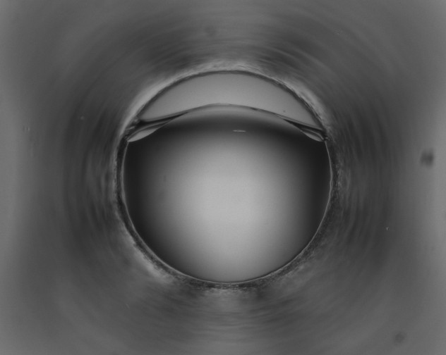 X0000092210894200710051134