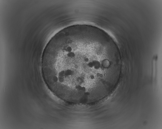 X0000092210895200710051134