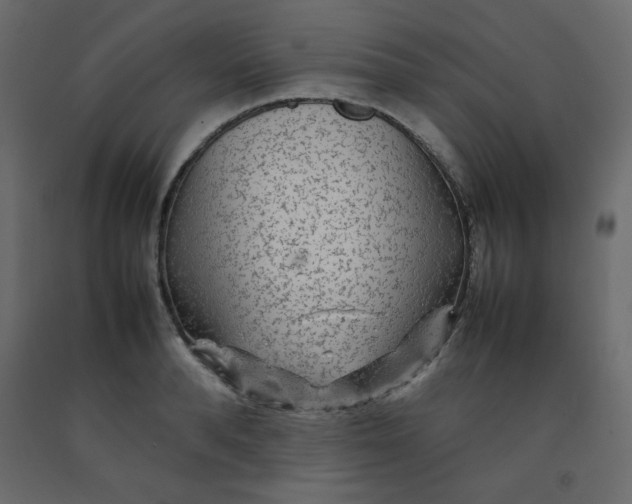 X0000092210896200710051134