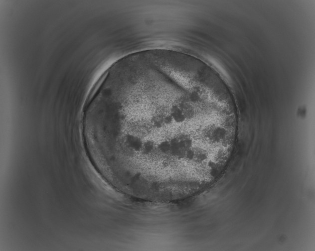 X0000092210899200710051134