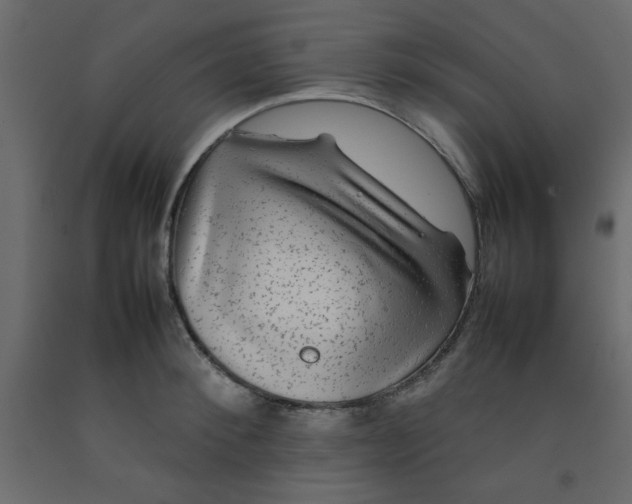 X0000092210900200710051134