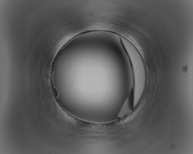 X0000092210901200710051134