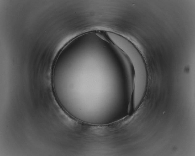 X0000092210902200710051134