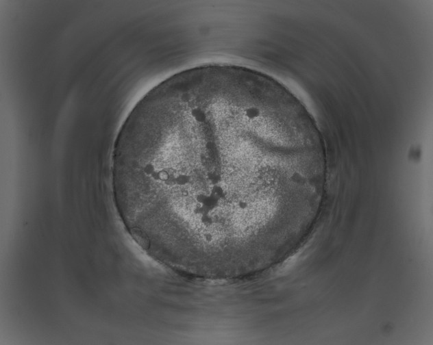 X0000092210903200710051134