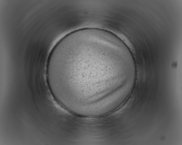 X0000092210904200710051134