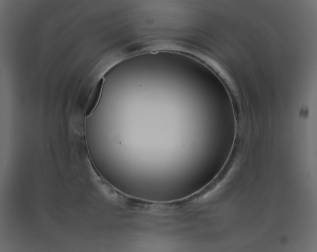 X0000092210905200710051134