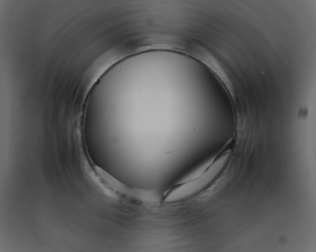 X0000092210906200710051134