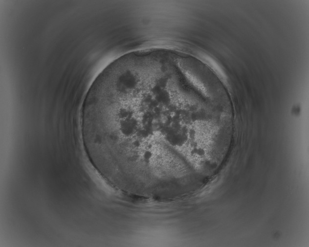 X0000092210907200710051134