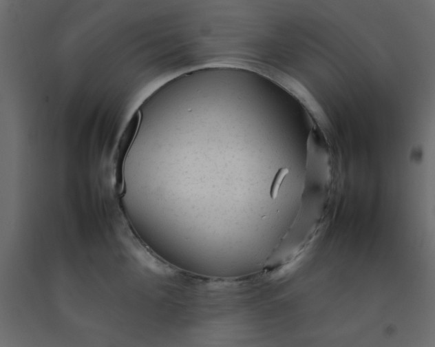 X0000092210908200710051134