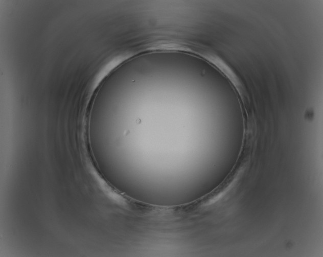 X0000092210909200710051134