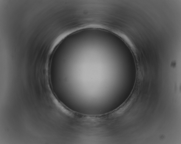 X0000092210910200710051134