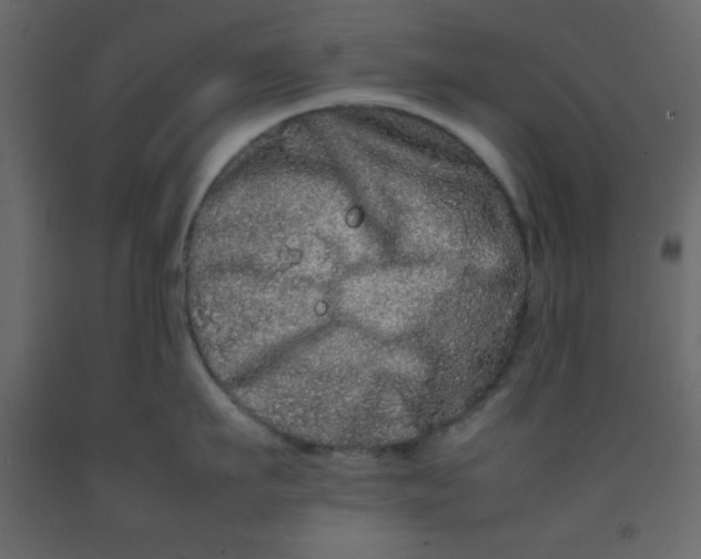 X0000092210911200710051134