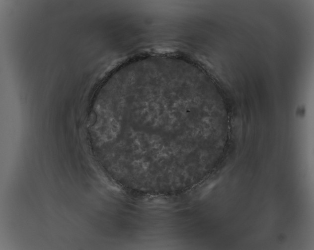 X0000092210913200710051133