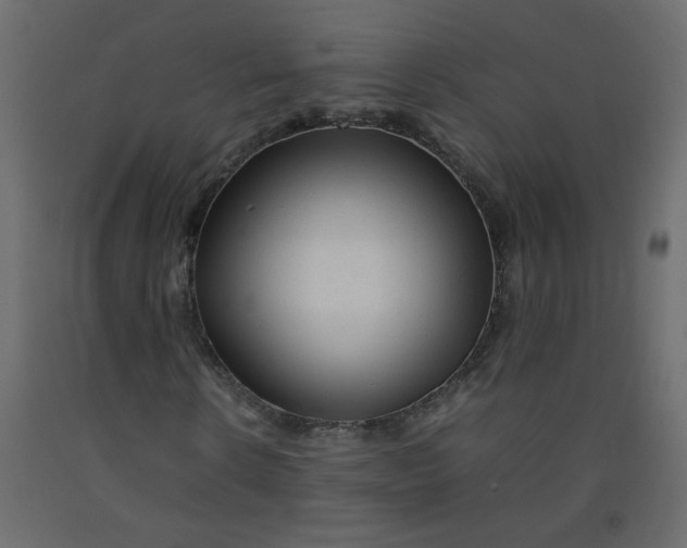 X0000092210914200710051133