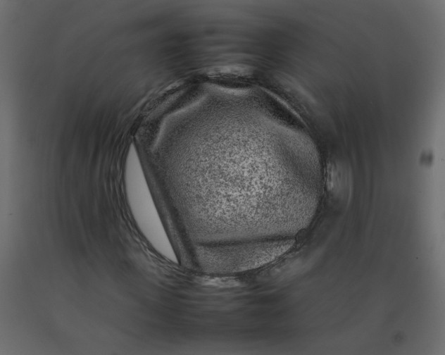 X0000092210915200710051133