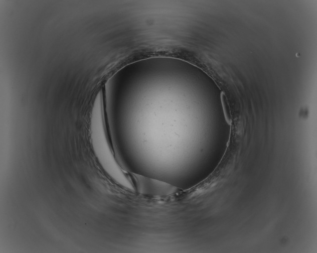 X0000092210916200710051133