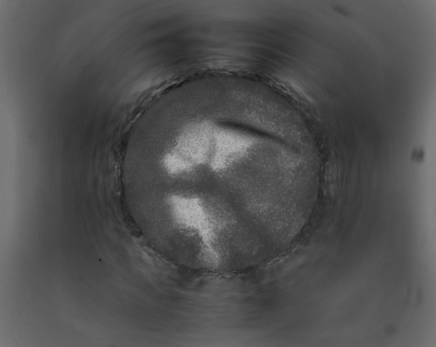 X0000092210917200710051133