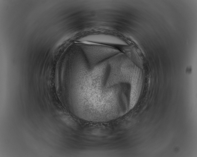 X0000092210919200710051133