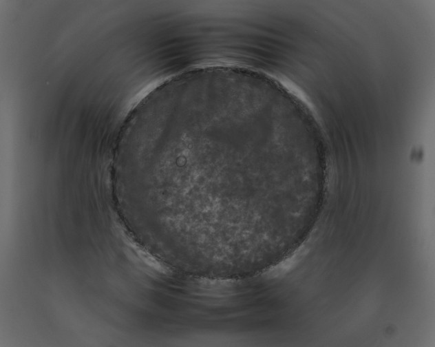 X0000092210921200710051133