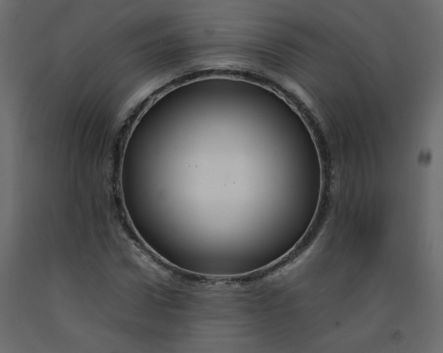 X0000092210922200710051133