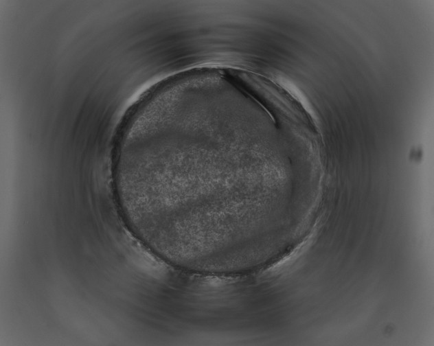 X0000092210923200710051133