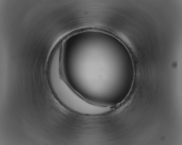 X0000092210924200710051134