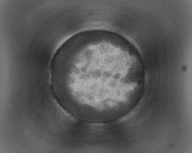 X0000092210925200710051134