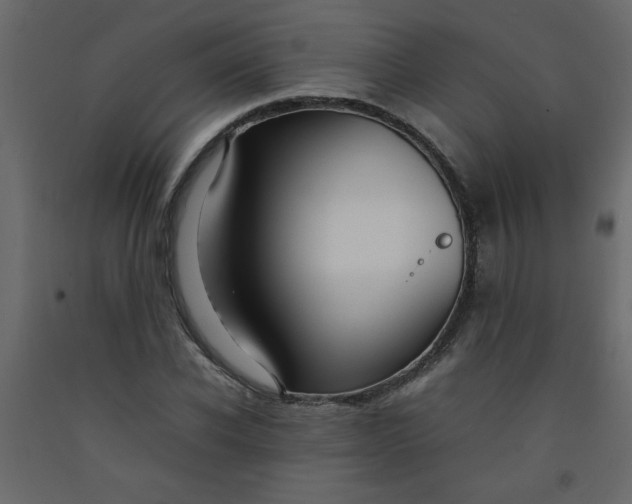 X0000092210926200710051134