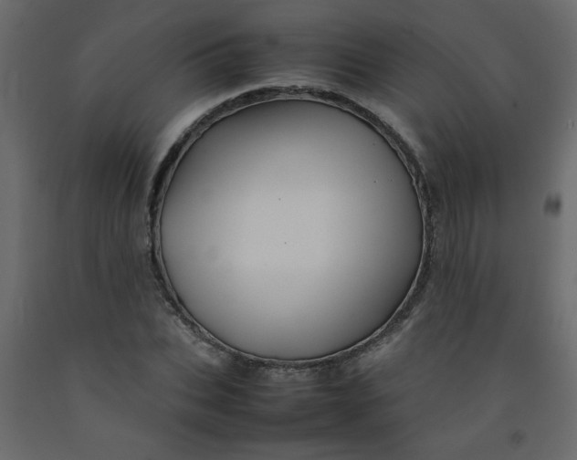 X0000092210927200710051134