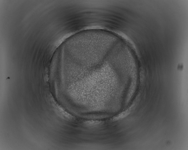 X0000092210929200710051134