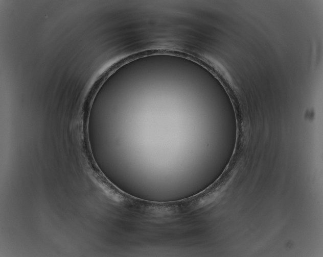 X0000092210931200710051134