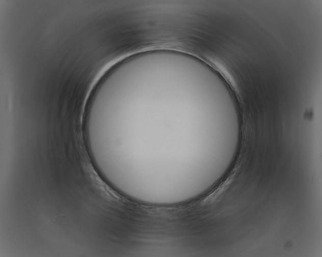 X0000092210932200710051134