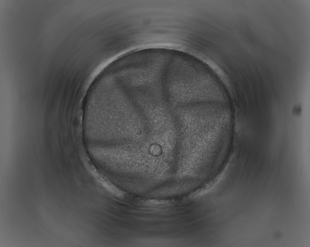 X0000092210933200710051134