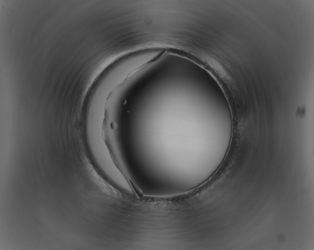 X0000092210934200710051134