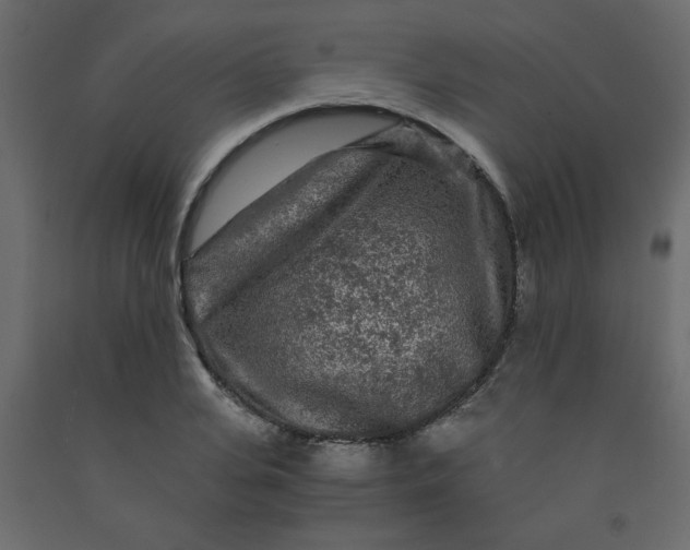 X0000092210935200710051134