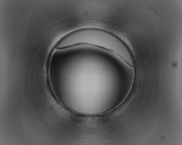 X0000092210936200710051134