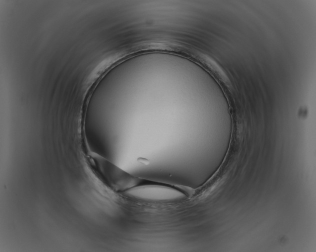 X0000092210938200710051134