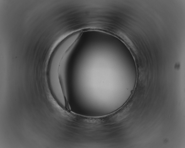 X0000092210939200710051134